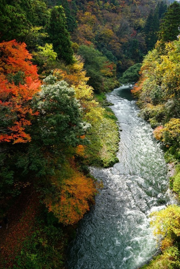 Ayatori Bridge 3