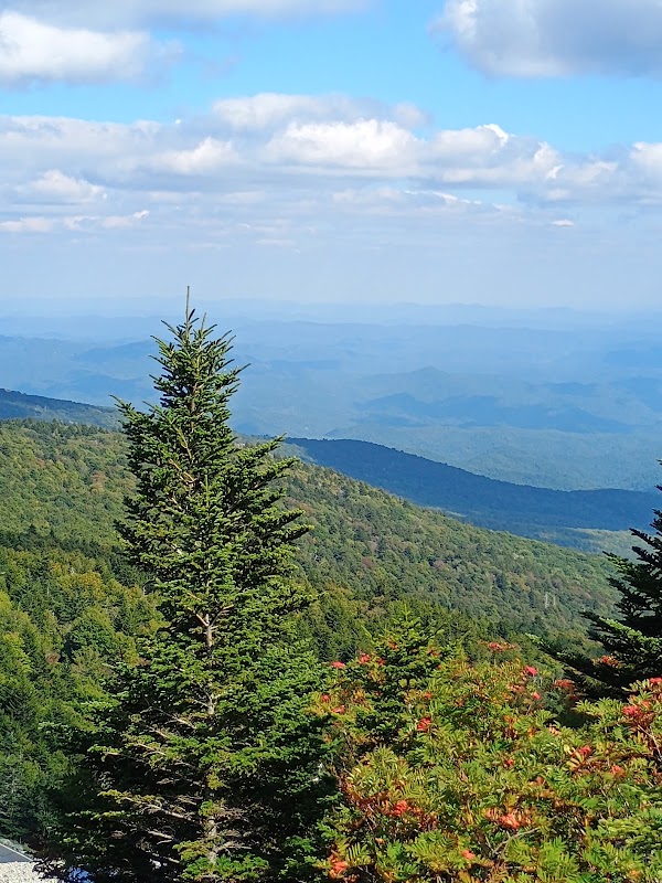 Grandfather Mountain Top Shop 3