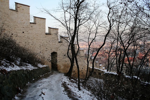 Hunger Wall