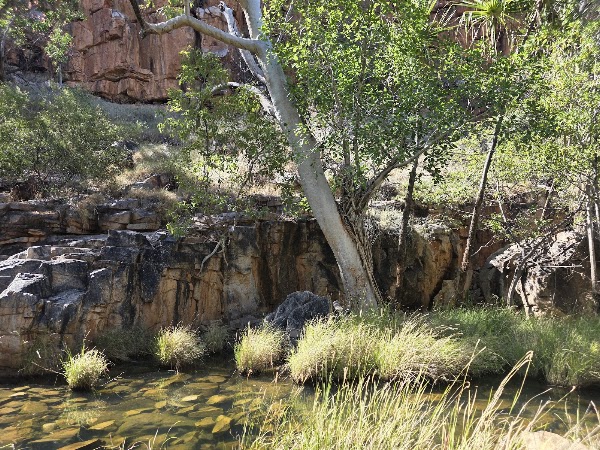 Adcock Gorge 3