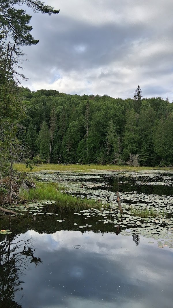 Trapper’s Trail 1