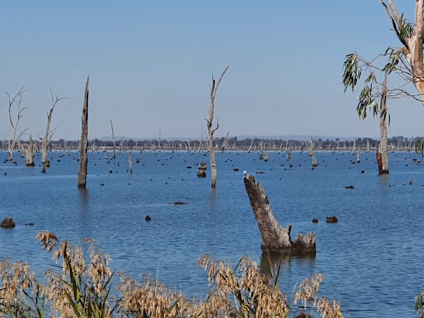 Lake Mulwala - Kyffins Reserve 4