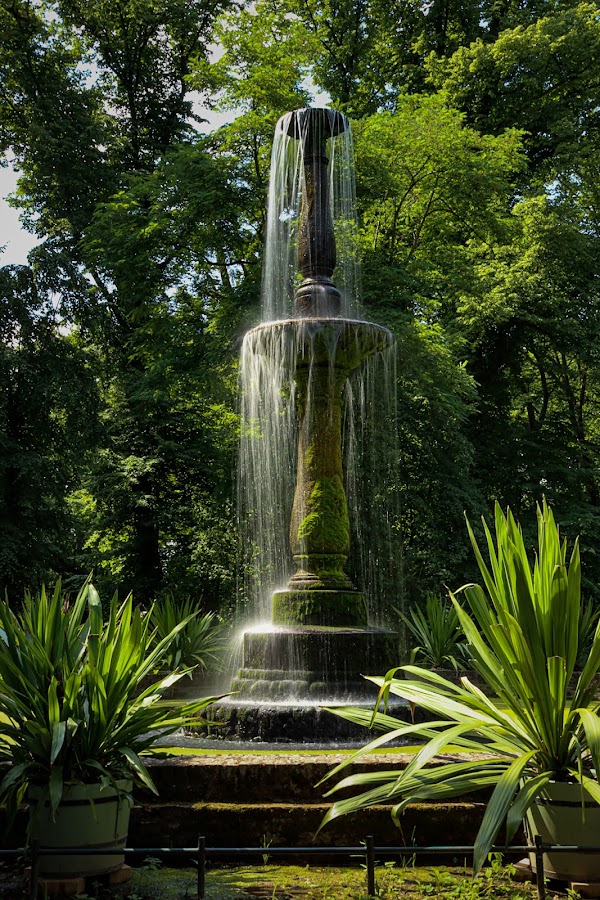 Pfaueninsel 2