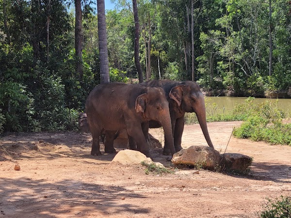 Vinpearl Safari Phú Quốc 3