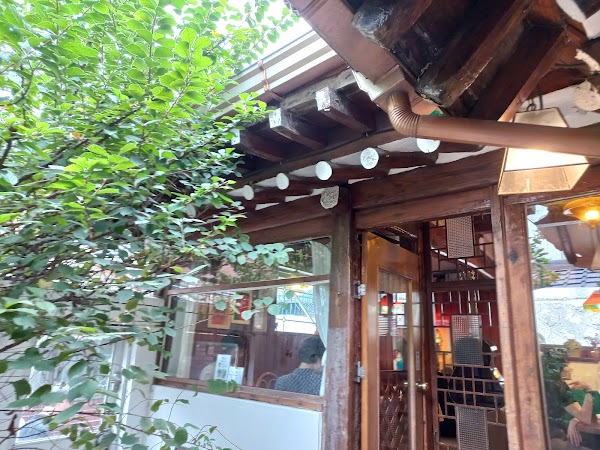 Cherry Blossom 🌸 41