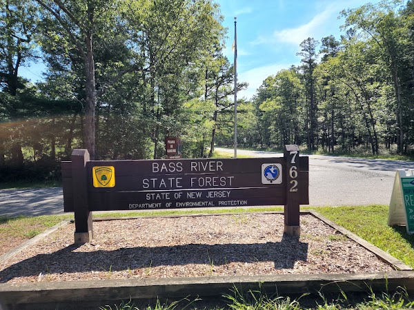 Bass River State Forest 1