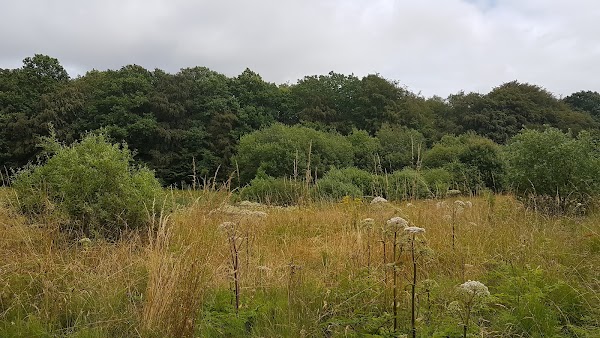 Bolderslev Skov