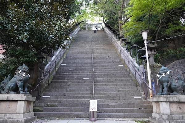 Success Steps