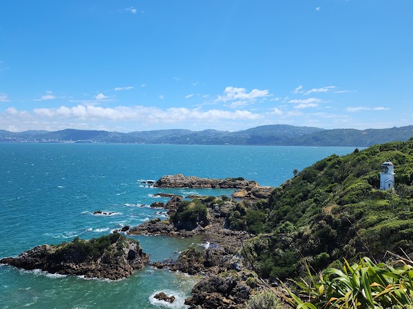Matiu / Somes Island 1