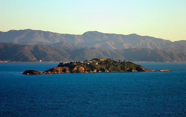 Matiu / Somes Island 4