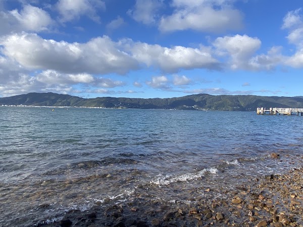 Matiu / Somes Island 3
