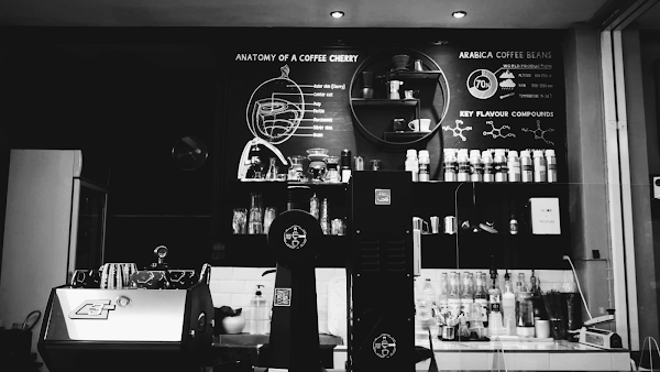 Dose / Yield ​/ Time​ Cafe 1