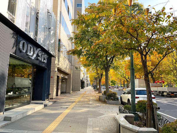 Odysis Sapporo Odori Koen Hotel