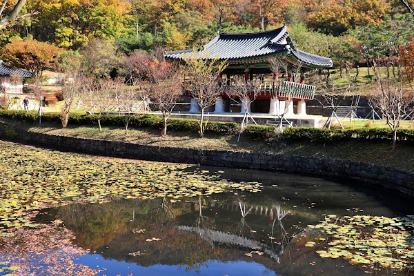 Uam Historical Park 5