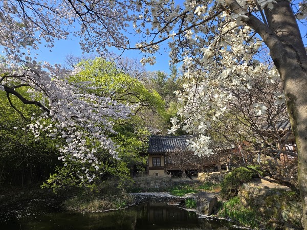 Uam Historical Park 3