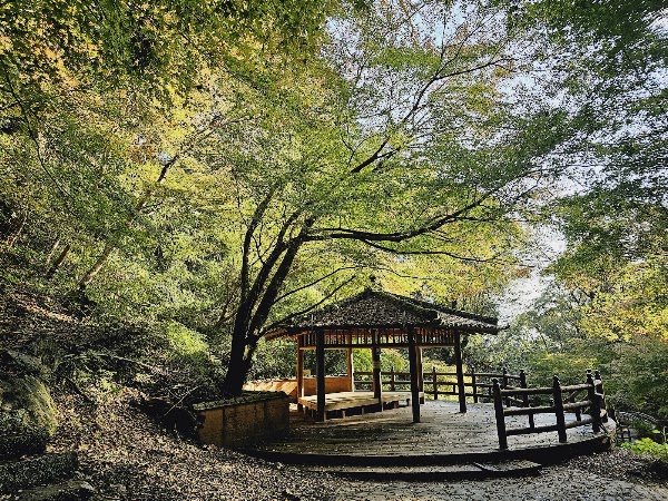 Kiyomizu Waterfall 2