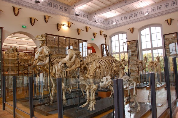 Fragonard Museum