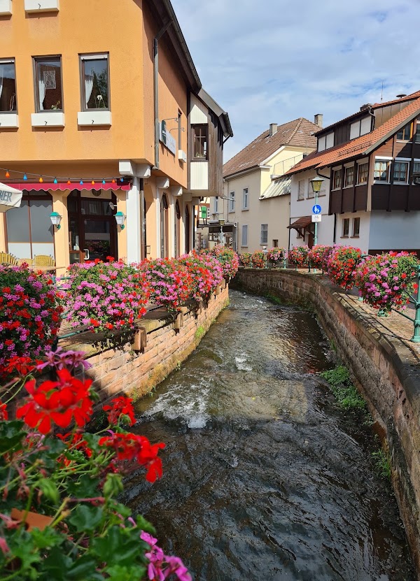 Germany 13