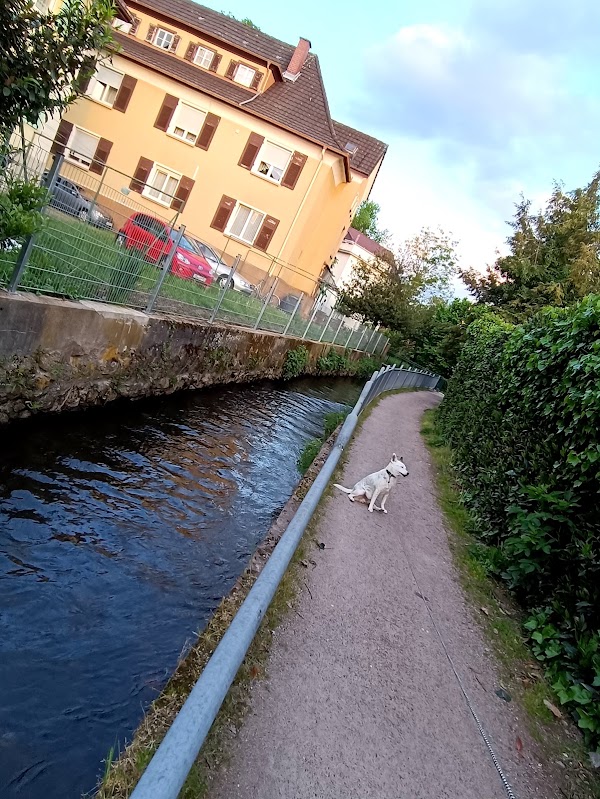 Oberkirch 5