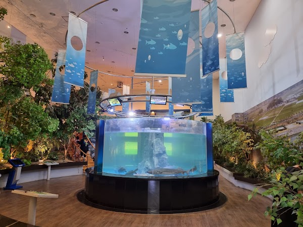 Seomjingang River Fish Museum 1