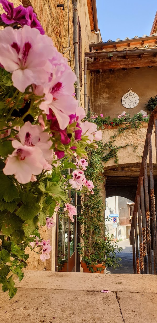 Montemerano 4