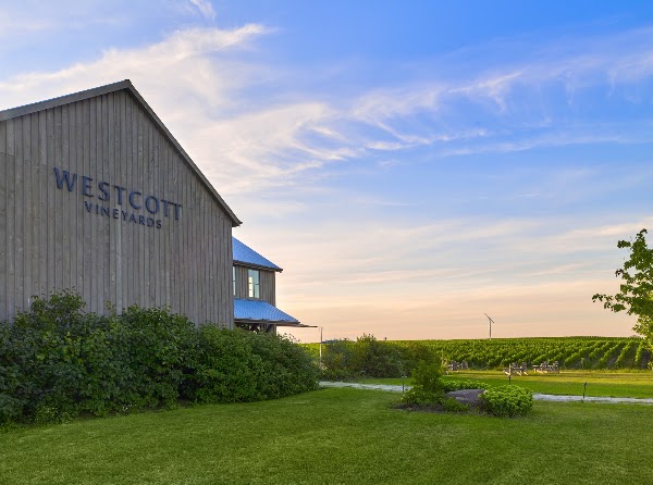 Westcott Vineyards - a Niagara Winery 5