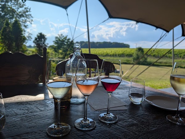 Westcott Vineyards - a Niagara Winery 4