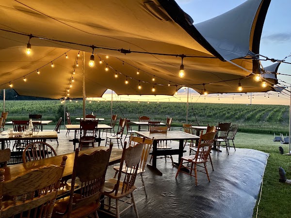 Westcott Vineyards - a Niagara Winery 3