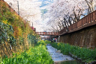 Cherry Blossom Park