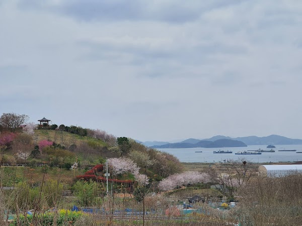Cherry Blossom Park 4