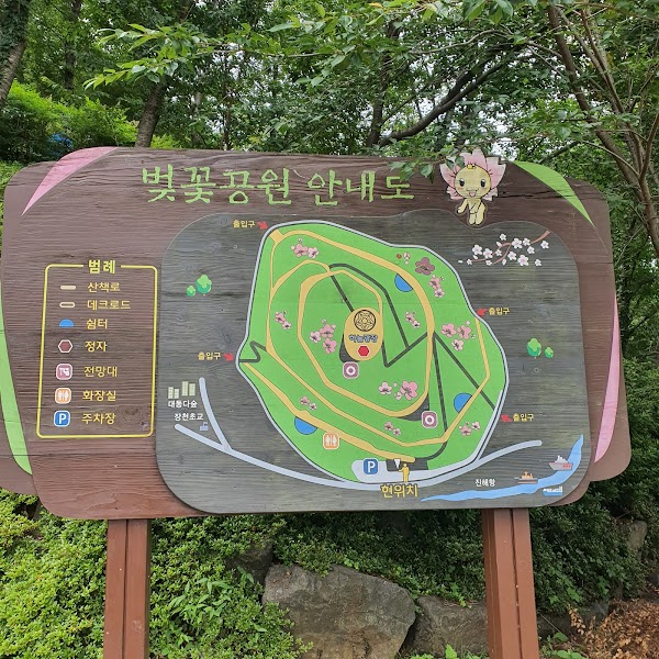 Cherry Blossom Park 3
