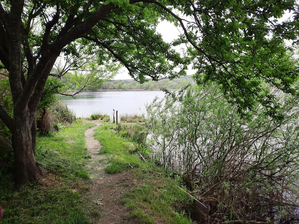 Lago dell'Accesa 2
