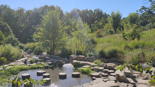 Anne O'C. Albrecht Nature Playscape 1