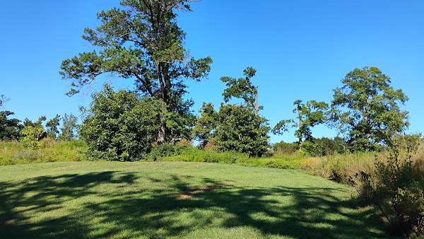 Anne O'C. Albrecht Nature Playscape 4