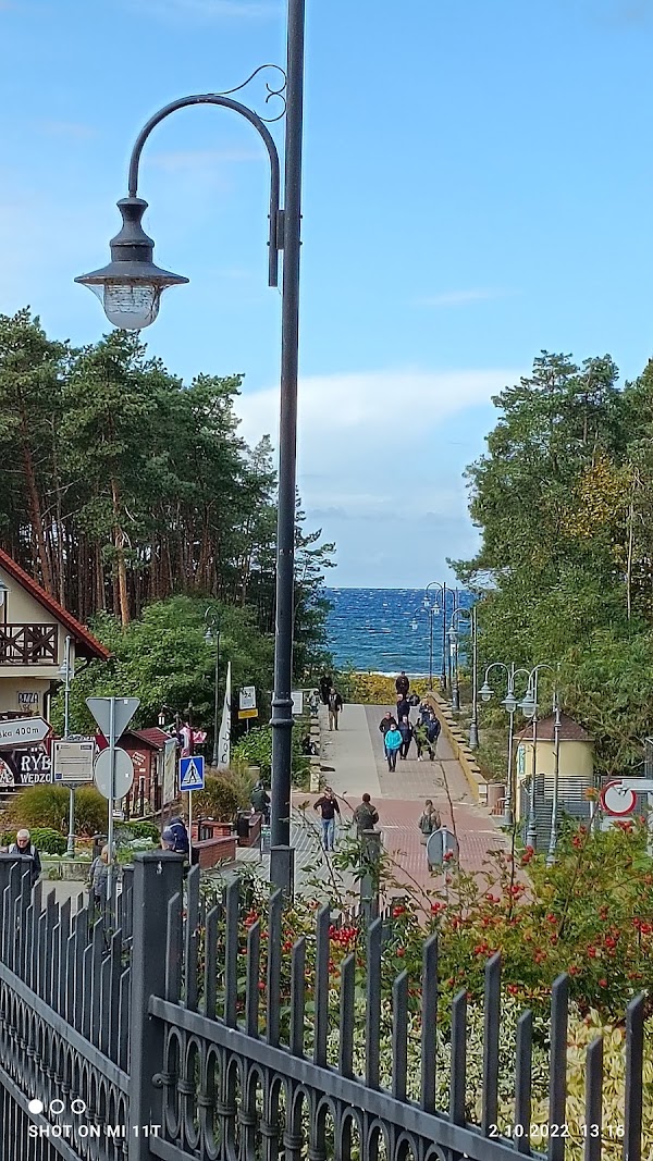 Krynica Morska