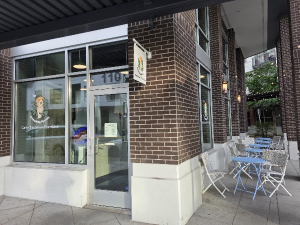 The Screaming Parrots Cafe: Desserts + Tea + Bites