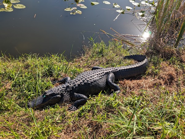 Everglades National Park 1