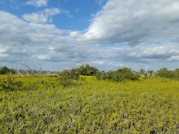 Everglades National Park 5