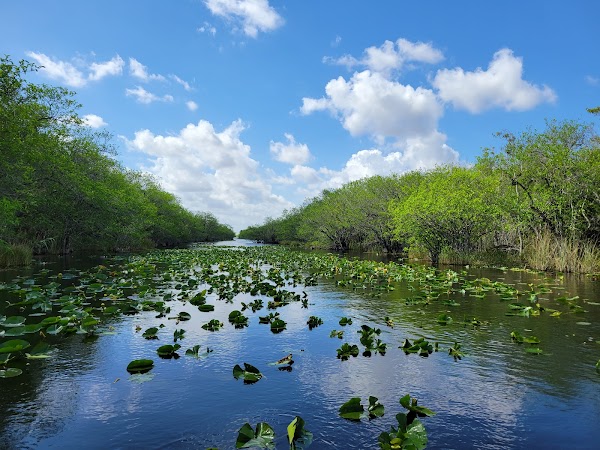 Everglades National Park 2