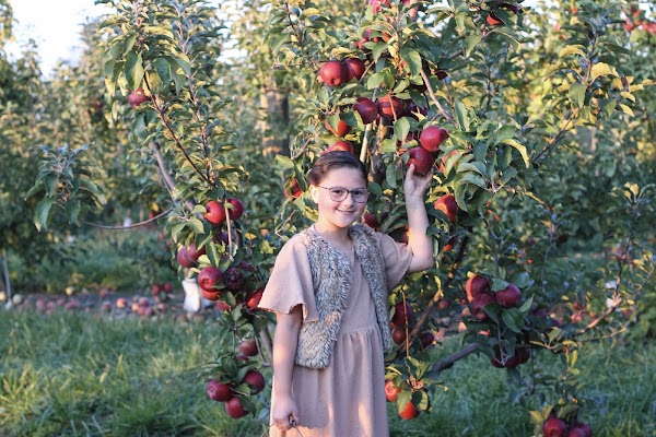 Brecknock Orchard 1