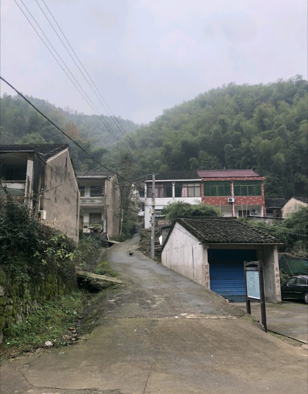Shaoxing 5