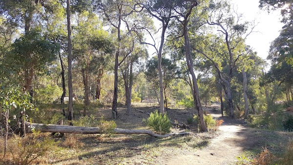 Lesmurdie Brook-Loop