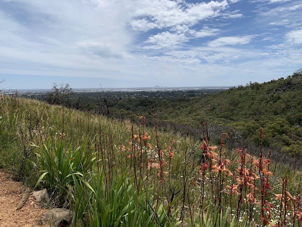 Lesmurdie Brook-Loop 2