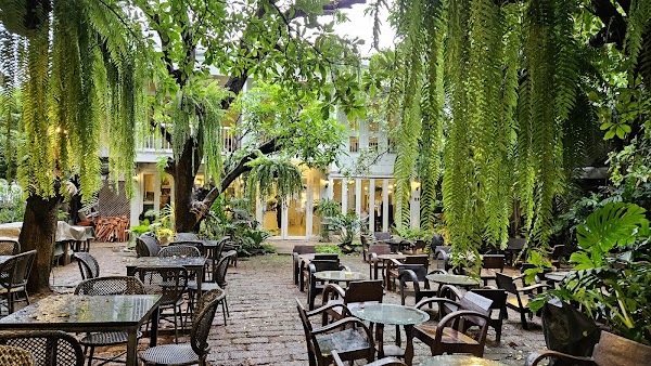 Fern Forest Cafe 3