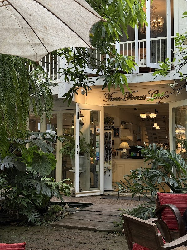 Fern Forest Cafe 2