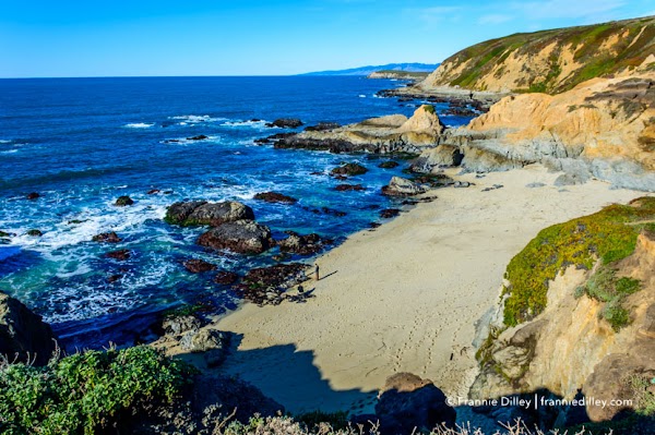 Bodega Head 1