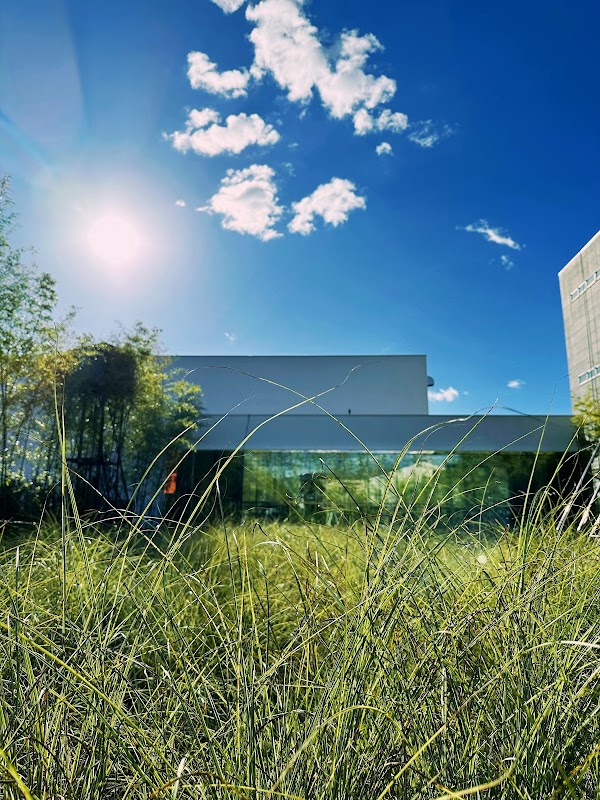 A Cafe in the Field of the Can Can Factory 5