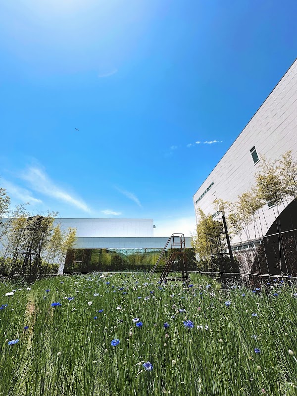 A Cafe in the Field of the Can Can Factory 2