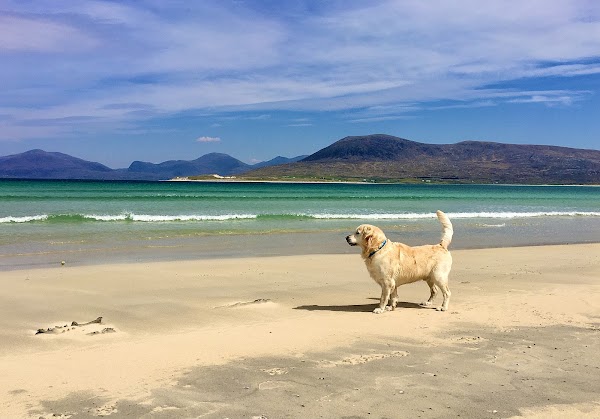 Seilebost beach 4