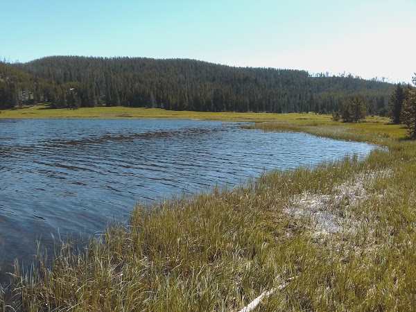 Grebe Lake